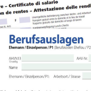 Projectos Seminar: Lohnausweis und Berufsauslagen